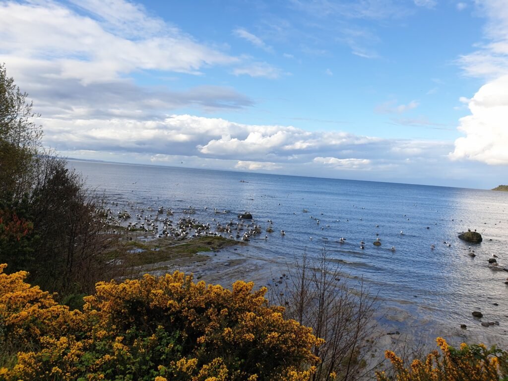 puerto varas