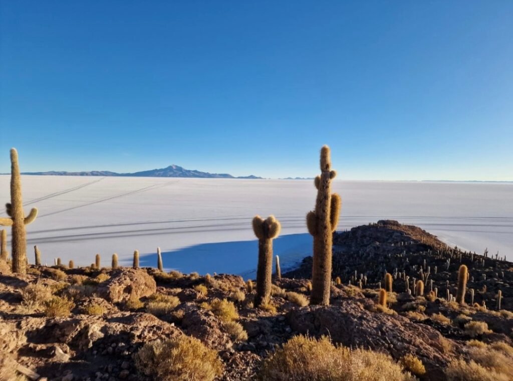 Uyuni Salt Salar - Bolivia