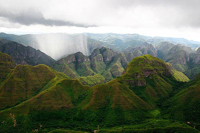 Madidi National Park Bolivia