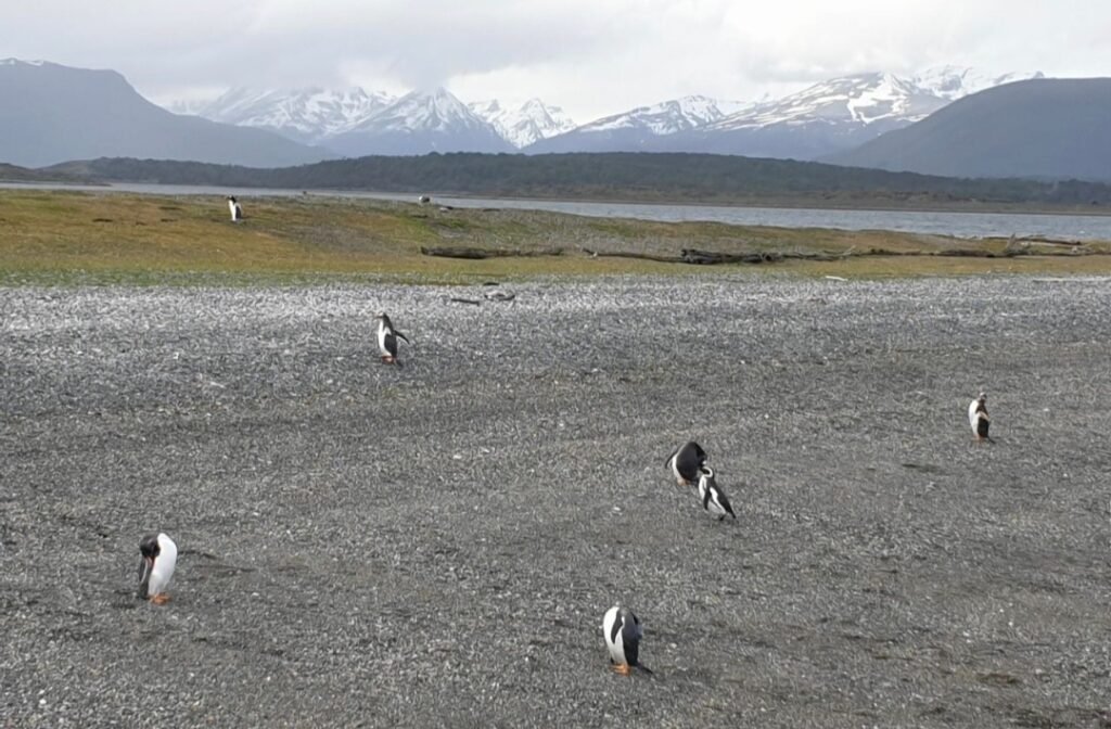 Southern Argentina