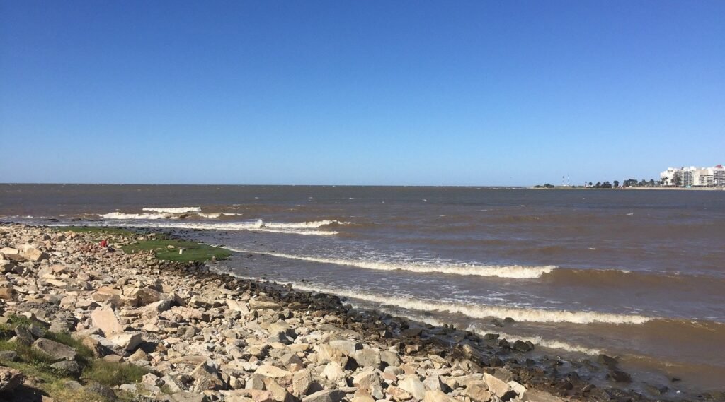 pocitos beach montevideo uruguay