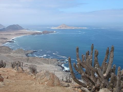 Pan de Azucar National Park Chile