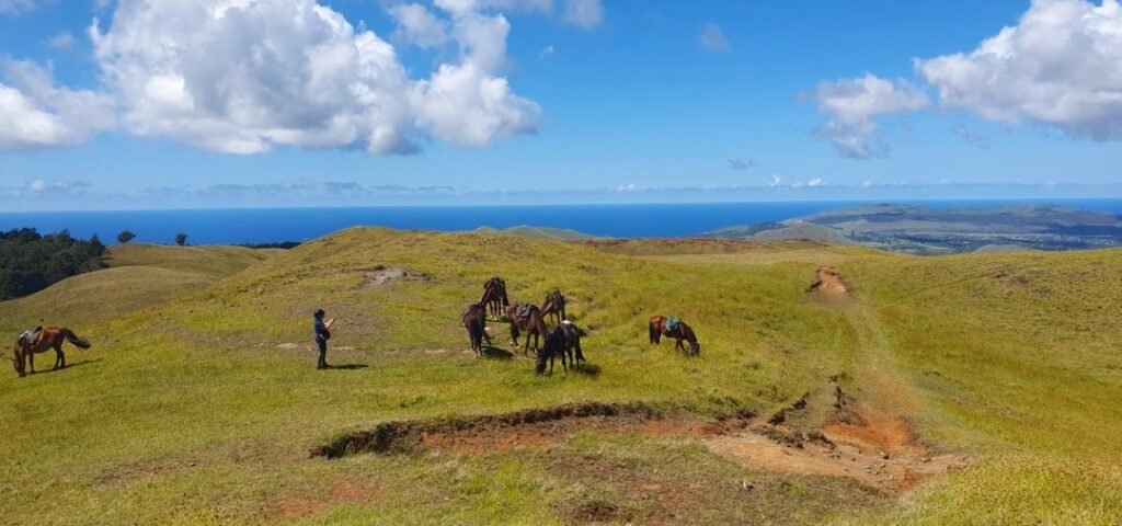 Easter Island Terevaca 2